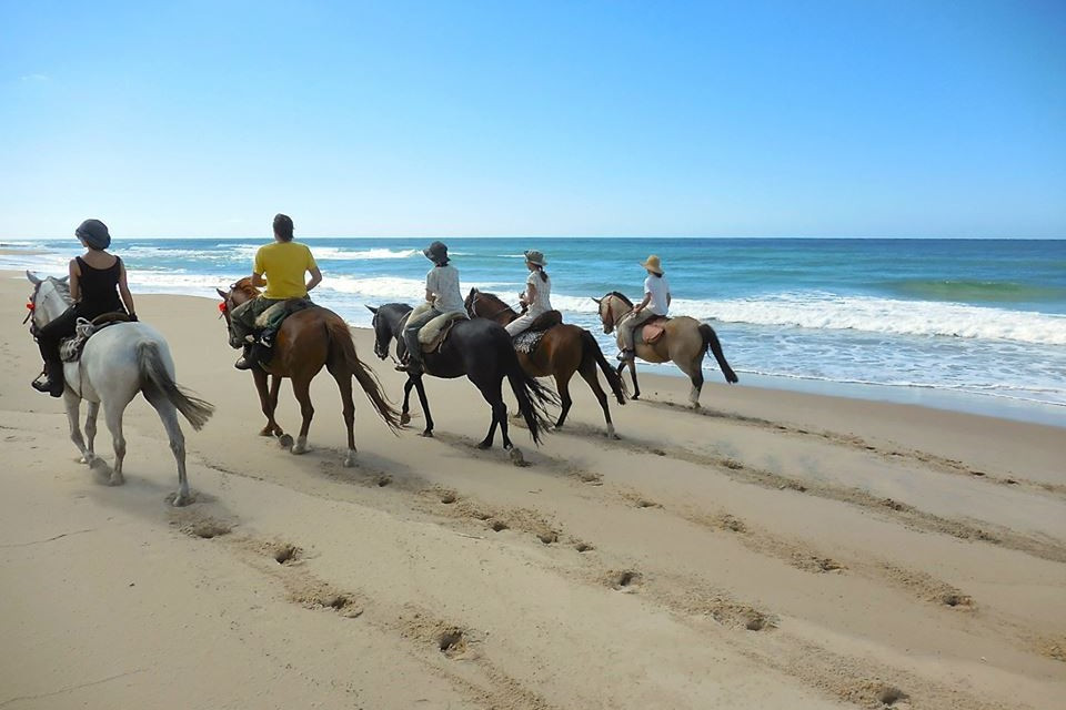 🐦 Ruta de los Pájaros Pintados