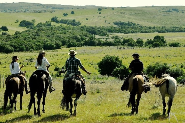 🐦 Ruta de los Pájaros Pintados